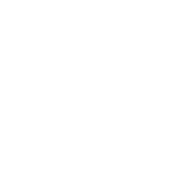 Chiropractic Adjustments